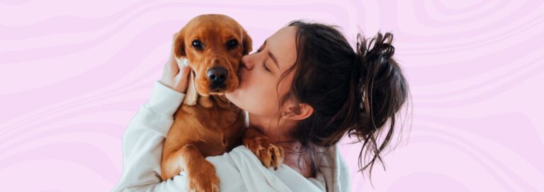 Pet Age Calculator