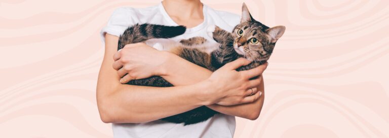 Pet Name Generator
