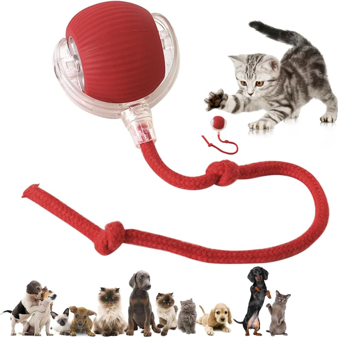 Naturaceutica Smart Cat Chase Ball